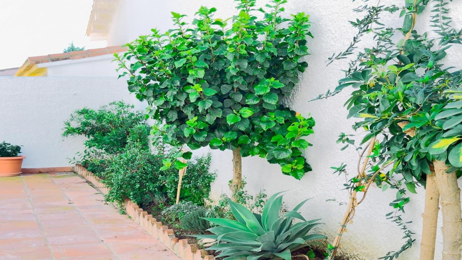 Vivienda Con Encanto Goya Nº4 Benalmádena Buitenkant foto